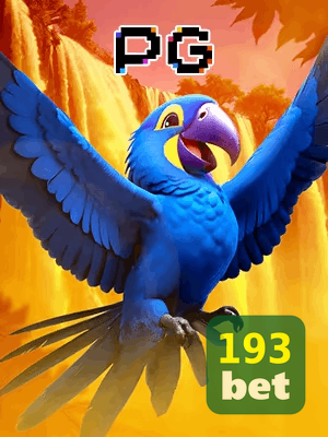 193BET bônus — cashback 15 por cento e níveis VIP